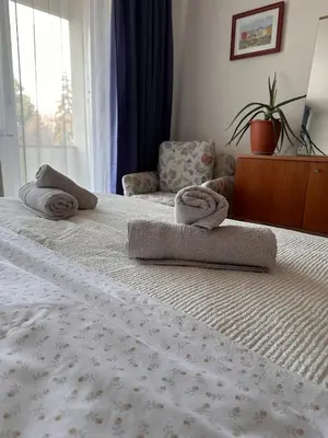 Ein Bett oder Betten in einem Zimmer der Unterkunft Green paradise near Vienna 3 room and balcony
