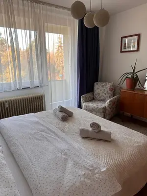Ein Bett oder Betten in einem Zimmer der Unterkunft Green paradise near Vienna 3 room and balcony