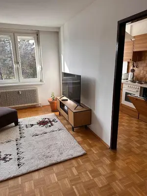 TV/Unterhaltungsangebot in der Unterkunft Green paradise near Vienna 3 room and balcony