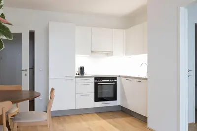 Küche/Küchenzeile in der Unterkunft HIRSCH Apartments