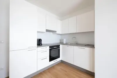 Küche/Küchenzeile in der Unterkunft HIRSCH Apartments