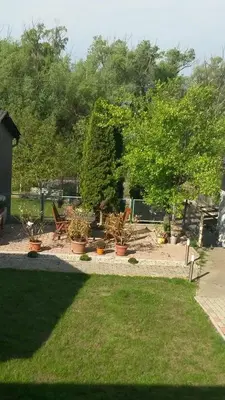 Ein Garten an der Unterkunft Das Tulpen Apartment