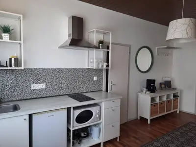 Küche/Küchenzeile in der Unterkunft Das Tulpen Apartment