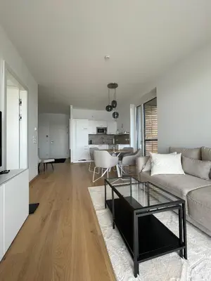 Küche/Küchenzeile in der Unterkunft Ferienwohnung Seepark Oggau