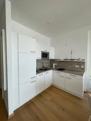 Küche/Küchenzeile in der Unterkunft Ferienwohnung Seepark Oggau