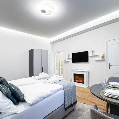 Apartment Noble in Vienna's City Center
