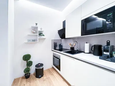 Küche/Küchenzeile in der Unterkunft Apartment Magnificence in Vienna's City Center