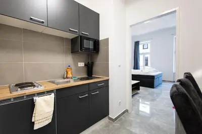 Küche/Küchenzeile in der Unterkunft Vienna-Apartments Leopoldstadt