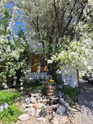 Ein Garten an der Unterkunft Appartement Sonnblick