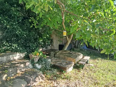 Ein Garten an der Unterkunft Appartement Sonnblick