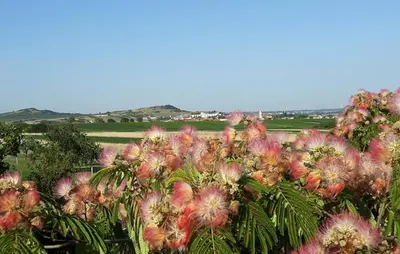 Naturlandschaft in der Nähe der Ferienwohnung