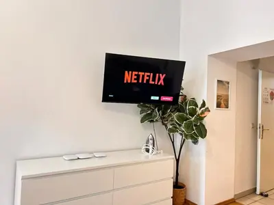 TV/Unterhaltungsangebot in der Unterkunft Charming Loft for 4 Guests in Vienna 20
