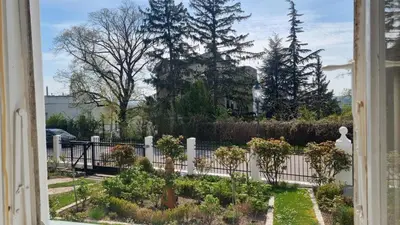 Ein Garten an der Unterkunft M11 Baden bei Wien