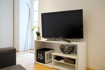 TV/Unterhaltungsangebot in der Unterkunft Stylish 1-Bedroom Apartment by Rochusmarkt Walk to the City Center