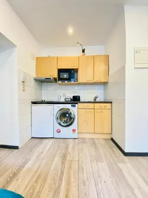 Küche/Küchenzeile in der Unterkunft Modern 1BR Stay Comfort for 3 in Central Vienna