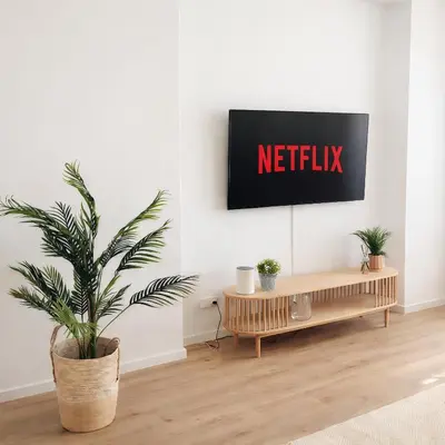 TV/Unterhaltungsangebot in der Unterkunft Suites in Brunn am Gebirge