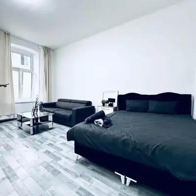 Beautiful Studio Quick Access to Rathausplatz