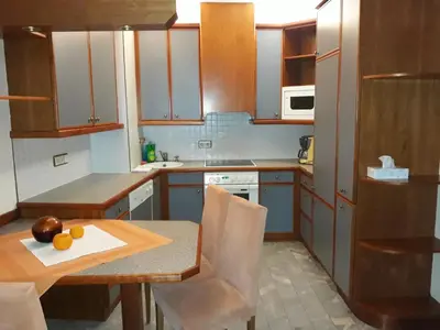 Küche/Küchenzeile in der Unterkunft Donauauen Apartments