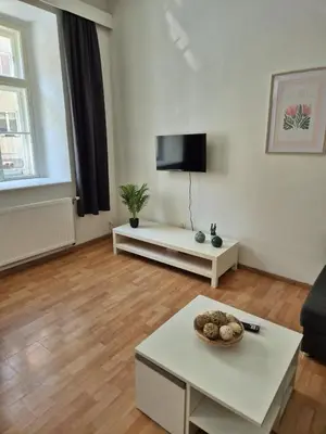 TV/Unterhaltungsangebot in der Unterkunft Cozy Stay - Schönbrunn