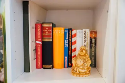Die Bibliothek in der Ferienwohnung