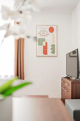 TV/Unterhaltungsangebot in der Unterkunft HOME1 - Josefstadt Apartments