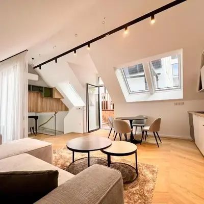 Luxury Penthouse with Terrace