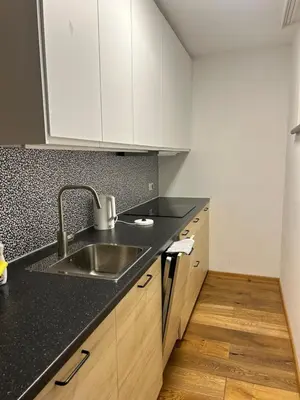 Küche/Küchenzeile in der Unterkunft Stadt Vienna
