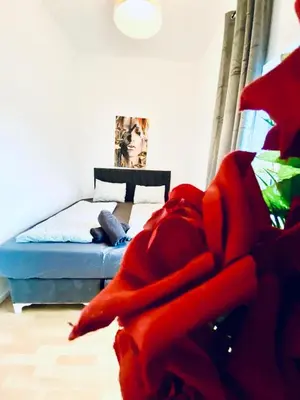 Ein Bett oder Betten in einem Zimmer der Unterkunft Private Rooms in Comfortable 4-Bedroom Apartment