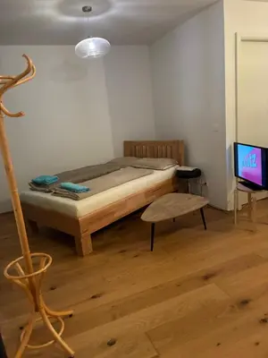 TV/Unterhaltungsangebot in der Unterkunft Apartment in Wien, Hetzendorf