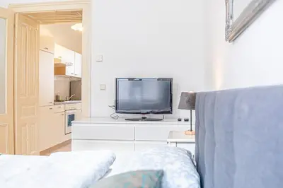 TV/Unterhaltungsangebot in der Unterkunft Stylish 1BR Apartment in Vienna, City Center