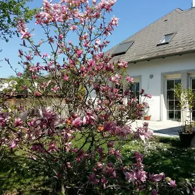 Ferienwohnung Heider