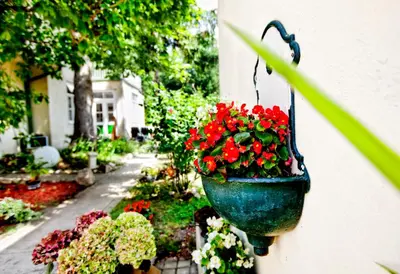 Ein Garten an der Unterkunft Pension Margit
