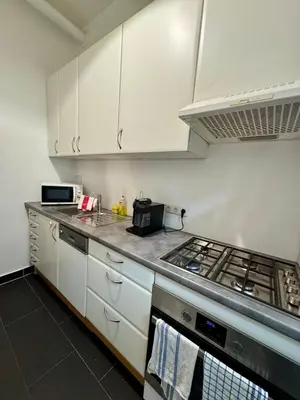 Küche/Küchenzeile in der Unterkunft Apartment Klimt