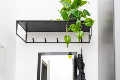 Grundriss der Unterkunft Deluxe Home 1