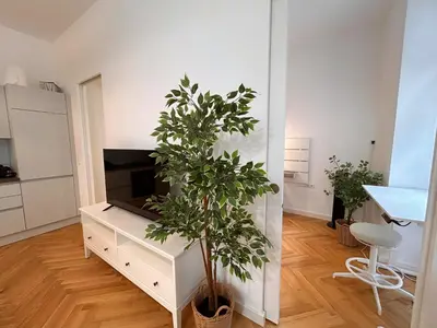 TV/Unterhaltungsangebot in der Unterkunft Premium City Apartment near Mariahilfer Strasse