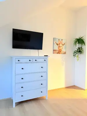 TV/Unterhaltungsangebot in der Unterkunft Cozy Family Rooftop