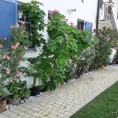 Ferienwohnung Casa Maya