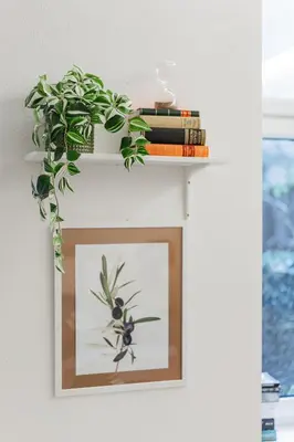 Die Bibliothek in der Ferienwohnung