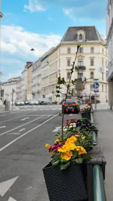Die Umgebung um die Ferienwohnung