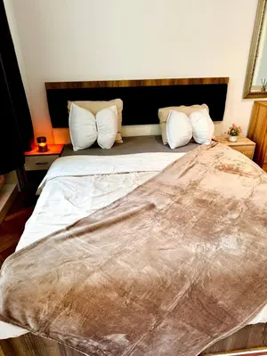 Ein Bett oder Betten in einem Zimmer der Unterkunft Charming Stay - Close to Vienna Attractions MZ17b