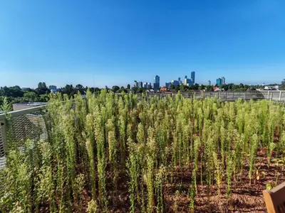 Ein allgemeiner Blick auf Wien oder ein Stadtblick von der Ferienwohnung aus