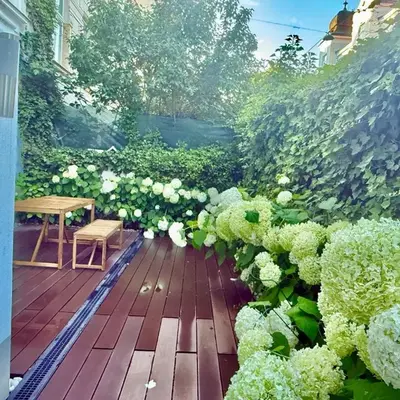 Luxury 130 m2 Apartment with Garden