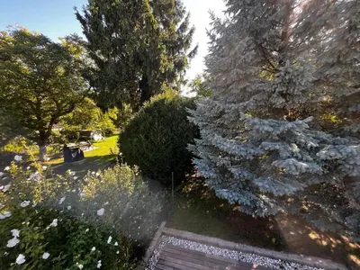 Ein Garten an der Unterkunft Danube Gardens