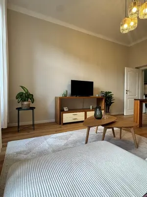 TV/Unterhaltungsangebot in der Unterkunft Haven Home Vienna Apartment