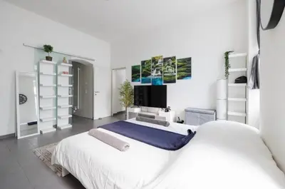 TV/Unterhaltungsangebot in der Unterkunft Large Modern City Apartment