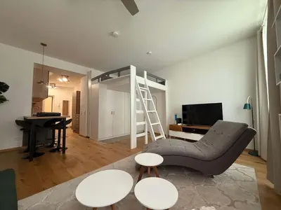 TV/Unterhaltungsangebot in der Unterkunft Central and stylish studio in Vienna