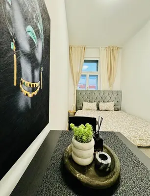 Ein Bett oder Betten in einem Zimmer der Unterkunft Elegant Private Rooms in 4BR Apartment Near Westbahnhof