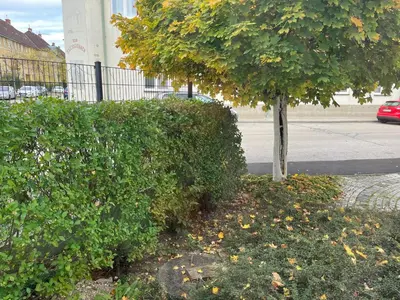 Ein Garten an der Unterkunft Rosis Appartement