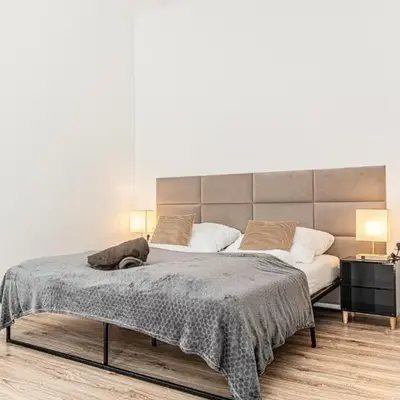 Comfertable 1BR Apartment very Central In Vienna