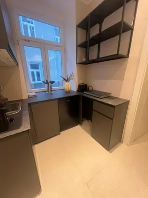 Küche/Küchenzeile in der Unterkunft Residence K - Elegant Living in Vienna